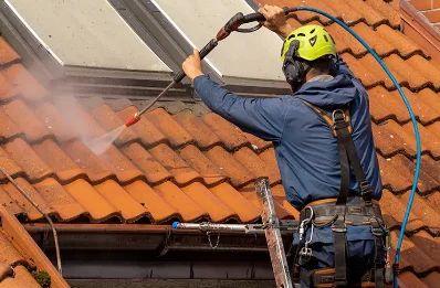 Démoussage et hydrofuge de toiture à Rospigliani